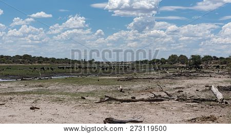 Landscape At Boteti River, Makgadikgadi National Park, Botswana, Africa