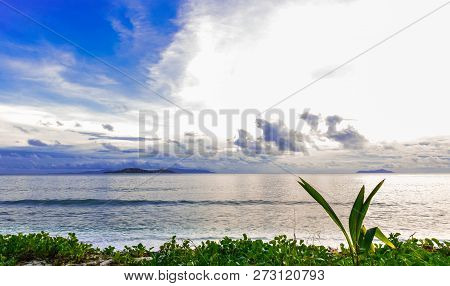 Grass And Sea And Clouds In The Evening.