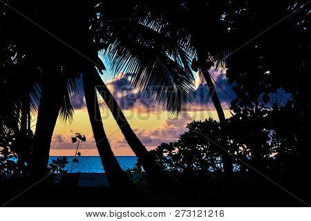 Sunset And Palm Shadow At Island Praslin, Seyshels.