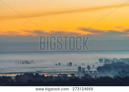 Mystic View On Forest Under Haze At Early Morning. Mist Among Tree Silhouettes Under Predawn Sky. Go