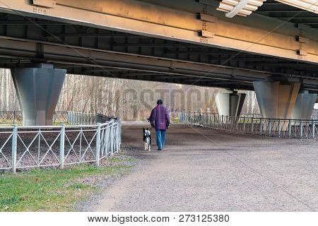 Flyover Of The Highway Over Asphalt Road