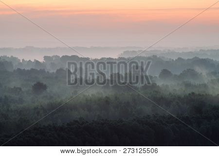 Mystical View From Top On Forest Under Haze At Early Morning. Eerie Mist Among Layers From Tree Silh