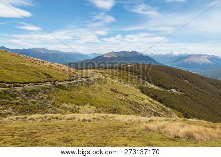 Hiking Track In Nelson Lakes National Park, South Island, New Zealand