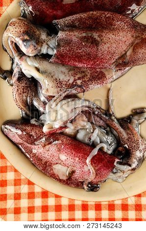 Fresh Squids Calamar On The Fish Market Counter