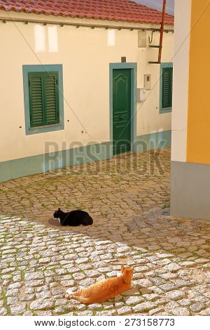 Colorful Buildings Inside The Old Town Of Monchique, With Cats Relaxing On The Cobbled Pavement, Mon