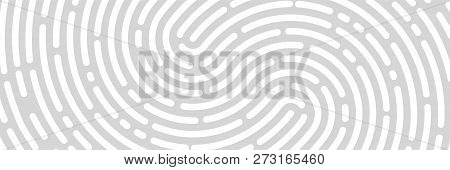 Fingerprint Background, Print, Banner Identification Vector Illustration