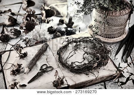 Old Diary Book With Dried Seeds, Pencil And Roots On Table. Magic Gothic Ritual. Wicca, Esoteric And