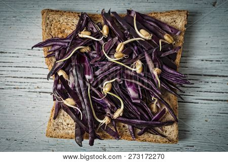 Tost, Red Cabbage, Wheat Germ, Super Food, Healthy Breakfast, Di