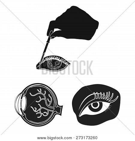 Vector Illustration Of Medical And Eyeball Icon. Collection Of Medical And Optical Stock Symbol For 