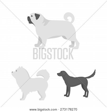 Vector Design Of Cute And Puppy Logo. Collection Of Cute And Animal Stock Vector Illustration.