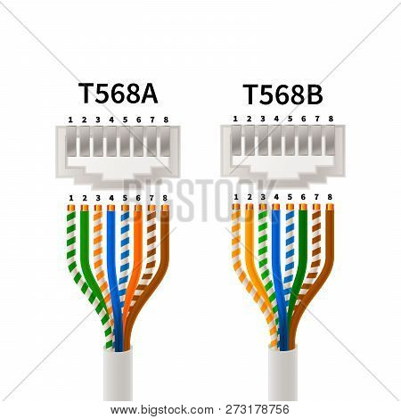 Rj45 Crossover Pin Assignment In T568a And T568b Connections Types, Infographic Scheme
