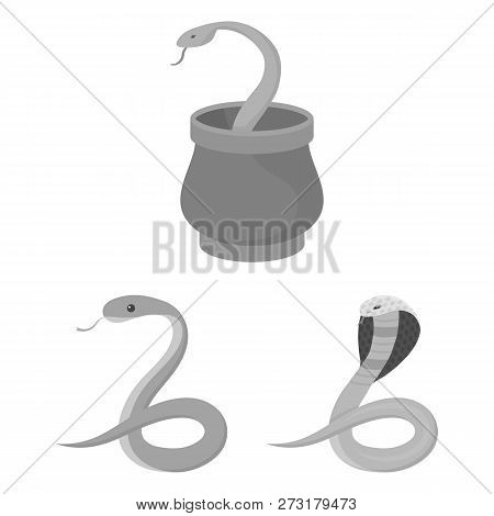 Isolated Object Of Snake  And Cobra  Logo. Collection Of Snake  And Tattoo Vector Icon For Stock.
