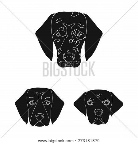 Vector Illustration Of Cute And Puppy Symbol. Collection Of Cute And Animal Stock Vector Illustratio