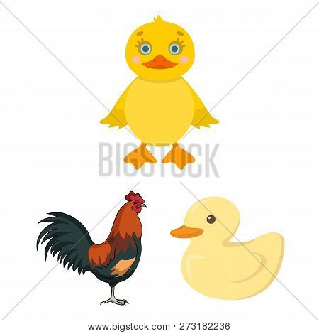 Vector Illustration Of Funny And Poultry Logo. Set Of Funny And Farming Vector Icon For Stock.