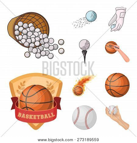 Vector Design Of Ball And Soccer Sign. Set Of Ball And Basketball Stock Vector Illustration.