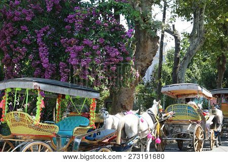 Buyukada Island Phaeton Tour In Istanbul, Turkey.