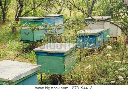 Row Of Color Wooden Beehives In The Garden