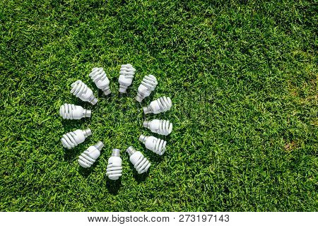 Energy Saving Light Bulbs On Grass Forming Circle. Energy Saving Concept