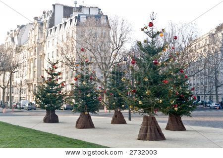 クリスマス前にパリの街