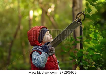 Little Boy Reads An Explanatory Sign In The Zoo Or Park Of Nature. Kids Exploring Nature.