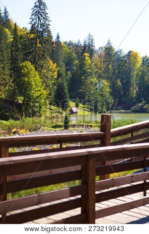 Beautiful Scenery Of The Forest And The Blue Sky Of The Carpathian Ukraine.