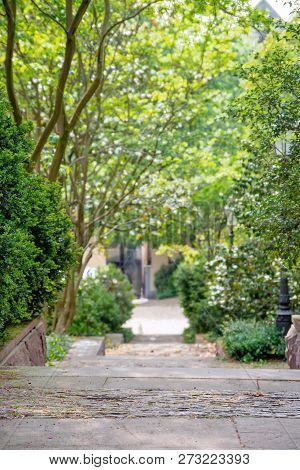 View On Green Park Pathway In Spring