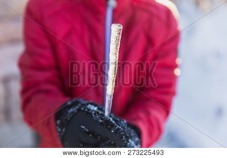 Child Wearing Black Gloves And A Red Jacket Holds An Icecicle In Winter Time.