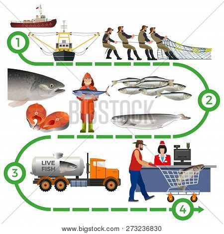 Fish Farming Industry. Supply Chain Infographic. Vector Illustration Isolated On White Background