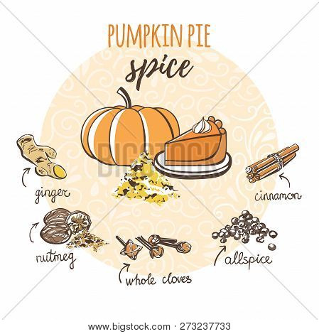 Vector Illustration Of Homemade Pumpkin Pie Spice. Hand Drawn Powder, Slice Of Cake, Fruit And Ingre