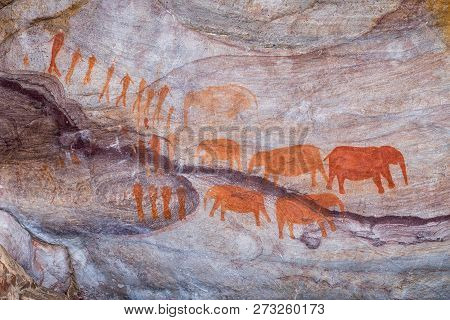San Rock Art At The Stadsaal Caves In The Cederberg Mountains In The Western Cape Province. Elephant