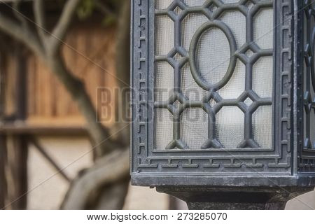 Black Shod Lamp Against The Background Of Tree Trunk Magnolia