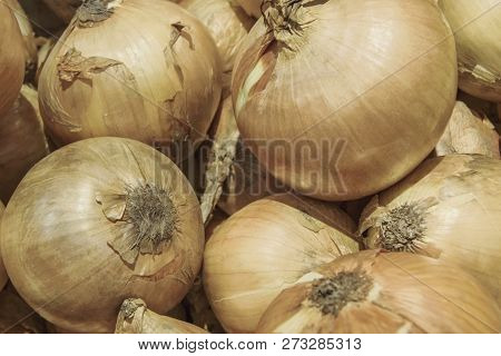 Onions Lie On A Counter In Greengrocery
