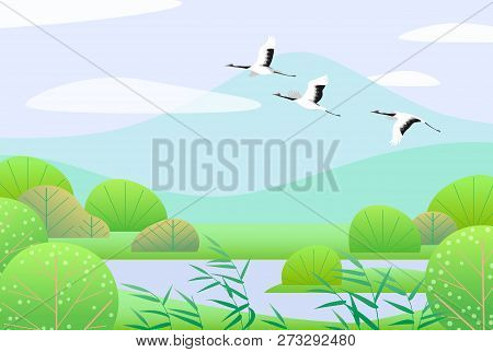 Nature Background With Wetland Scene And Flying Japanese Cranes. Spring Landscape With Mountains, Gr