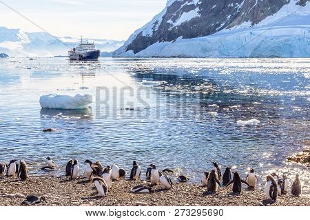 Touristic Cruise Ship In The Antarctic Lagoon Among Icebergs And Gentoo Penguins Colony On The  Shor