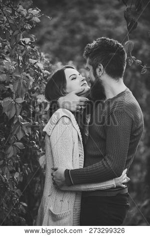 Couple With Smiling Faces Cuddle Each Other With Tenderness. Couple In Love Hugs With Red Leaves On 