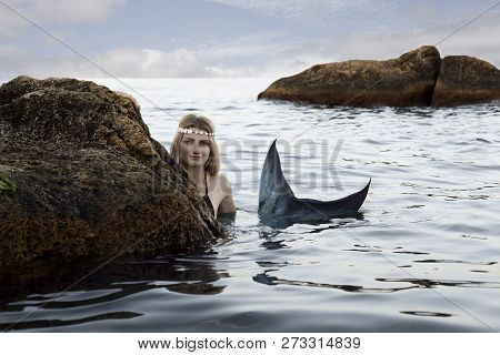 A Real Mermaid In The Water. Swam To Shore. Hiding Behind The Stones. Blue Tail. The Body Is Coverd 