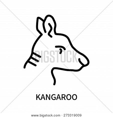 Kangaroo Icon Isolated On White Background. Kangaroo Icon Simple Sign. Kangaroo Icon Trendy And Mode