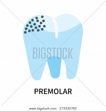 Premolar Icon Isolated On White Background. Premolar Icon Simple Sign. Premolar Icon Trendy And Mode