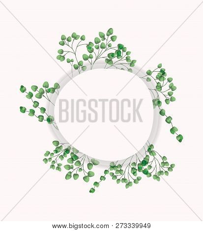 Circular Frame With Laurel Leafs Vector Illustration Design