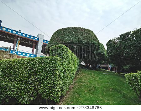 Beautiful Green Garden In Shenzhen City, China