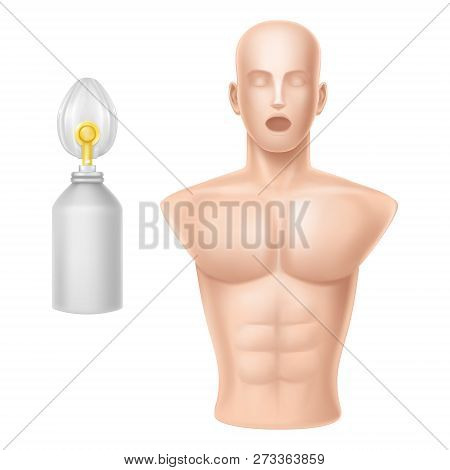 3d Realistic Human Body For Training Of Artificial Respiration, Equipment For Lifeguards, Medical Wo