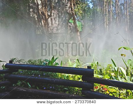 Beautiful Garden With Flowers In Shenzhen City, China