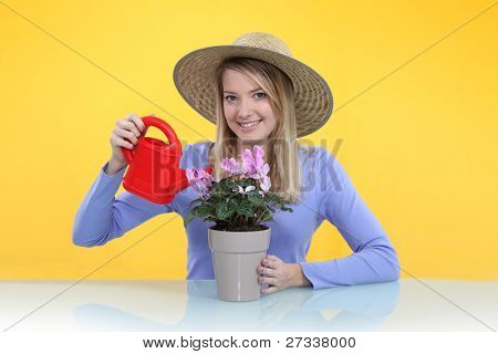 Vrouw drenken een potplant