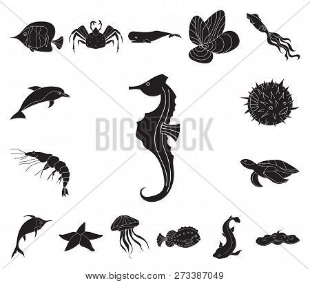 A Variety Of Marine Animals Black Icons In Set Collection For Design. Fish And Shellfish Vector Symb