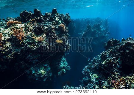 Underwater Rocks With Corals In Blue Ocean. Menjangan Island, Bali