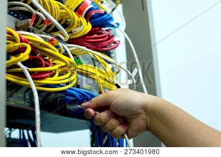 A Hand Holding Lan Cord With Ethernet Cables And Network Switching Hub Lan System Communication
