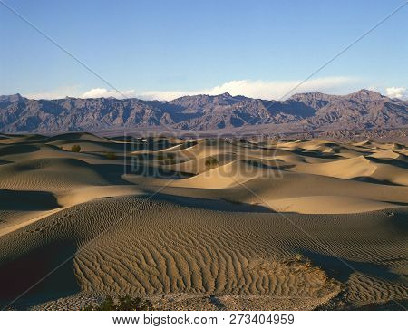 Sand Dune Formations In Death Valley National Park, California, Usa At Sunrise