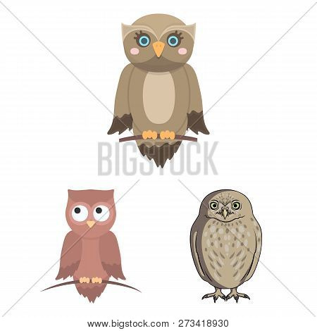 Vector Design Of Animal And Tattoo Symbol. Set Of Animal And Wild Stock Vector Illustration.