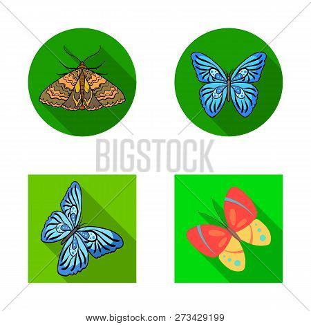 Isolated Object Of Color And Spring Sign. Collection Of Color And Fly Vector Icon For Stock.