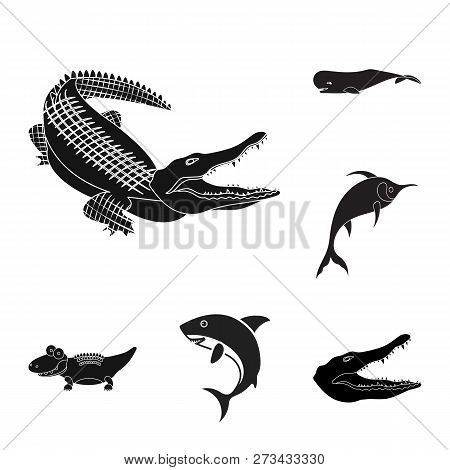 Vector Design Of Water And Drop Symbol. Collection Of Water And Splash Stock Vector Illustration.